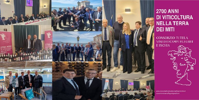 FOTO PRESENTAZIONE CONSORZIO VINI CAMPI FLEGREI PROGETTO VALORIZZAZIONE VITIGNO APRILE 2024